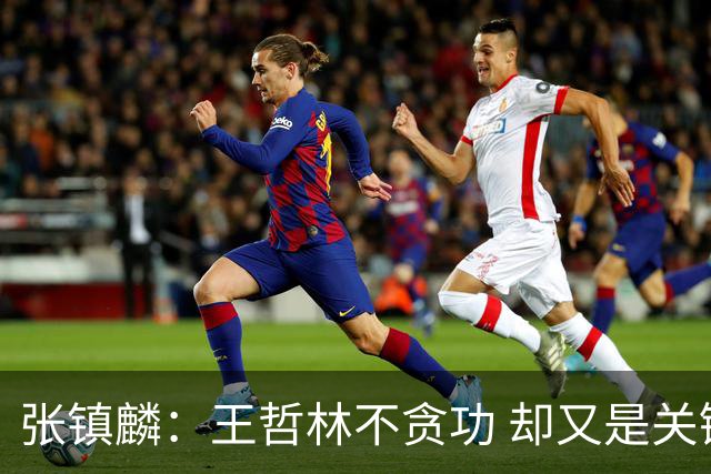 张镇麟：王哲林不贪功 却又是关键时刻能站出来的人 队长当之无愧